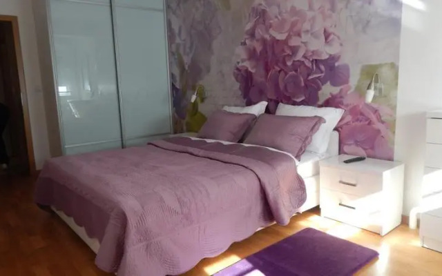 Apartment Sarajevska