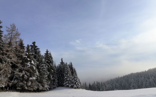 Holiday Home Schönhart