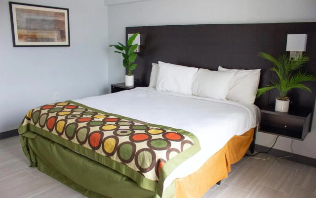 Sun and Sand Resort Oceanfront Suites