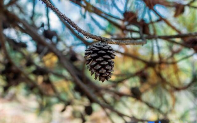 Tianye Panshan Holiday Guesthouse