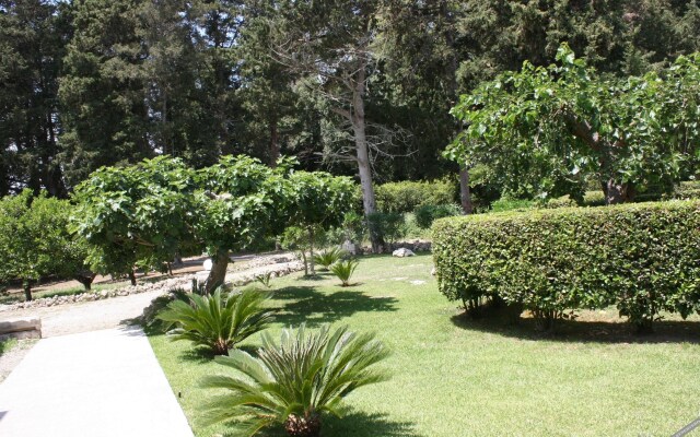 Masseria Bosco di Makyva Farm Home