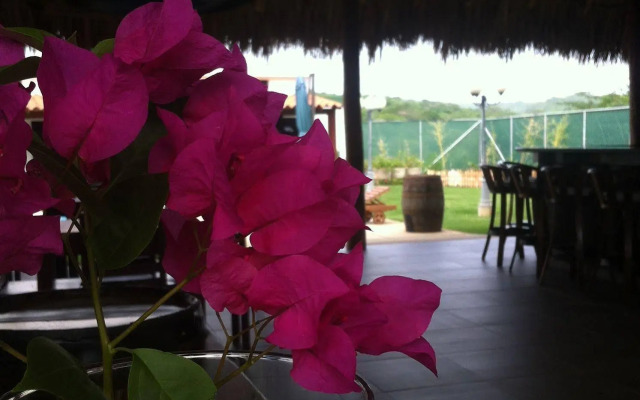 Machele' s Place Beachside Hotel & Pool