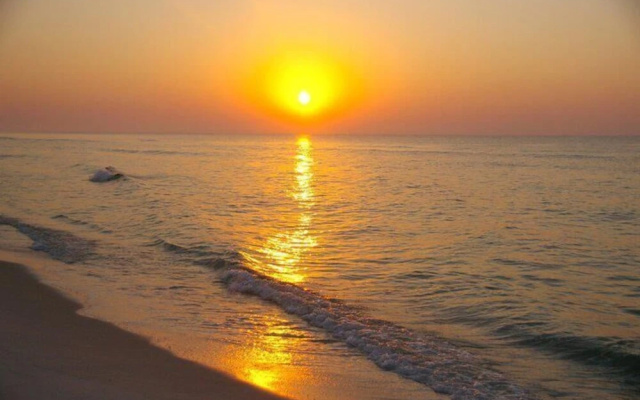 Perdido Key #D14 - 3 Br Condo