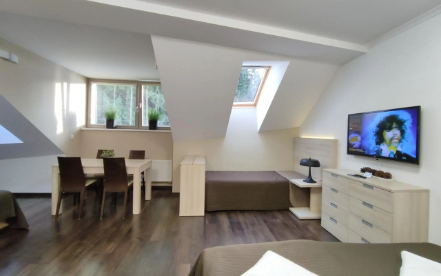 Horský Apartmán 303 v Anenském údolí s O2 TV a stabilní rychlou WIFI - Hotel in Harrachov - Photo 2