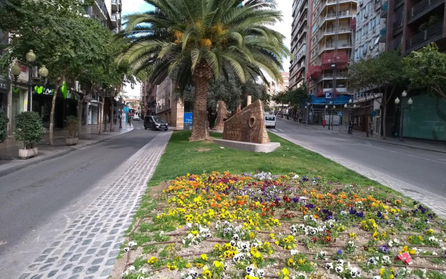 La Estrella de Alicante