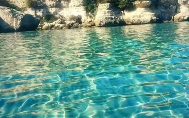 Tenuta Masseria Del Gallo