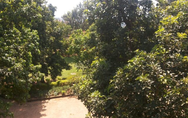 Garden Inn