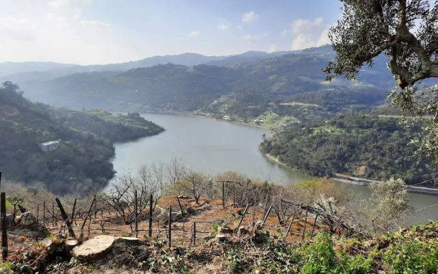 Quinta D'Joanes Douro