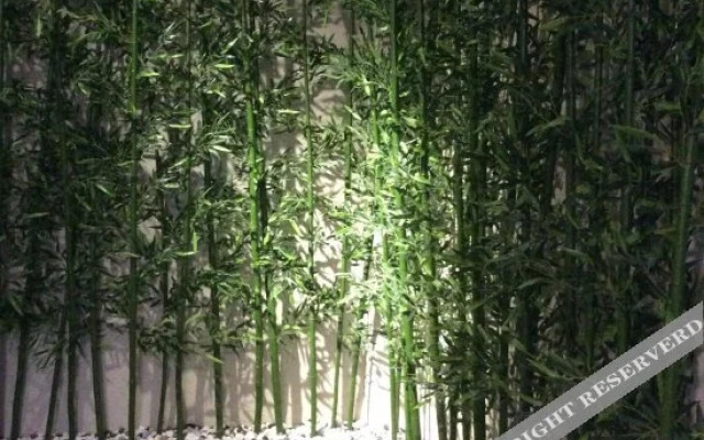 Young Tree Hotel