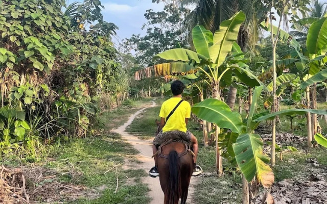 Tree of Life - Hostel