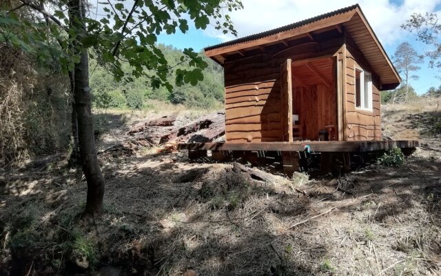 Entre Pampa y Bosque