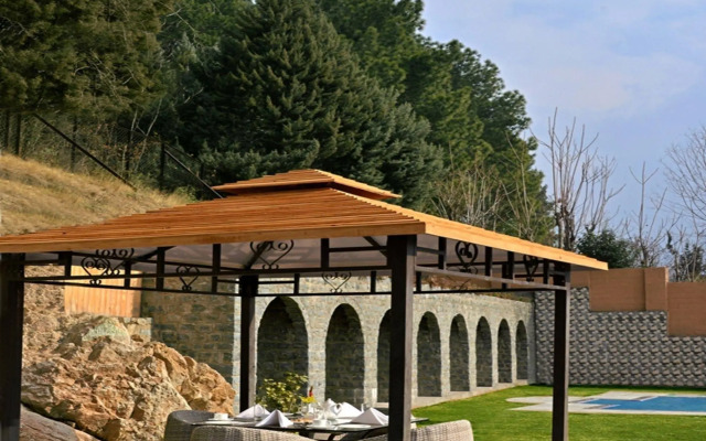 Golden Tulip