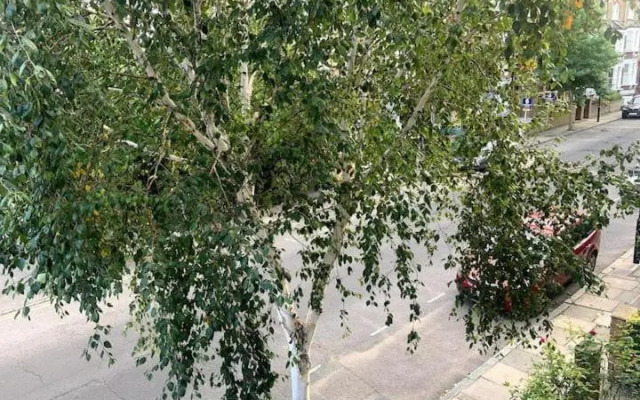 Lovely spacious 1-bedroom flat in Tufnell Park close to Central London