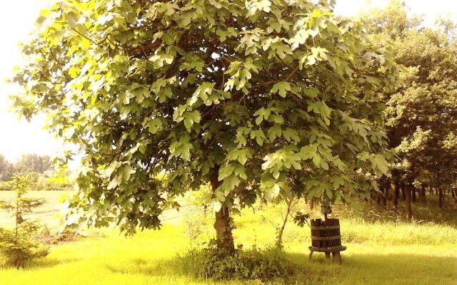 BB Green Fields