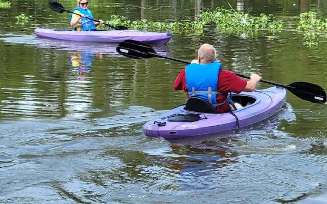 Fairfax Bed and Breakfast