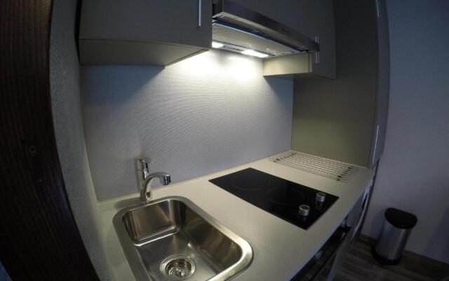 Duplex Apartment Busteni