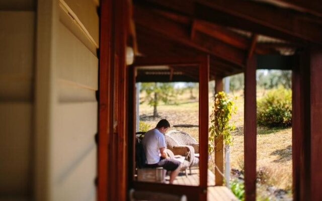 Hanging Tree Wines