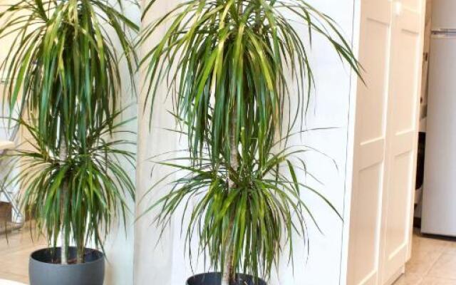 La Casetta del Marinaio