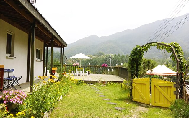 Yangpyeong lime orange