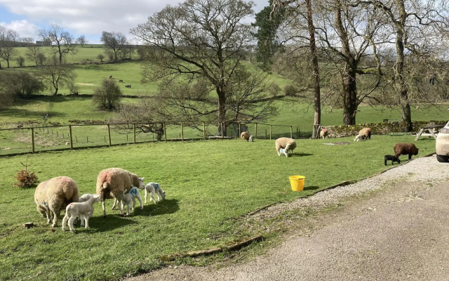 Gratton Grange Farm Bed & Breakfast