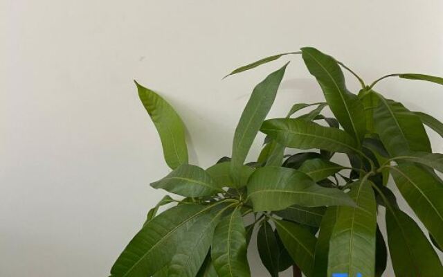 Yangshuo Qiqi Guesthouse