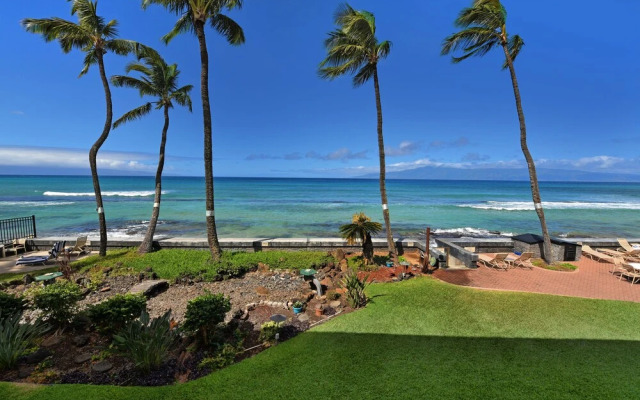 Unit 201 1 Bedroom Condo