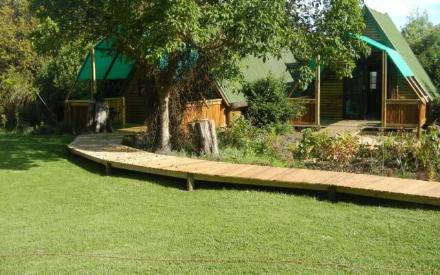 Tube n Axe Backpackers