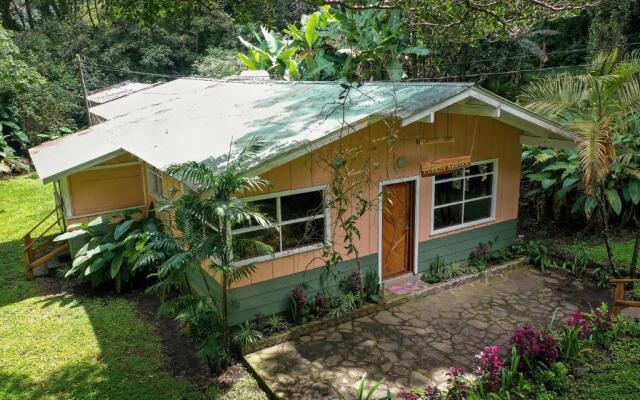 Forest Garden House