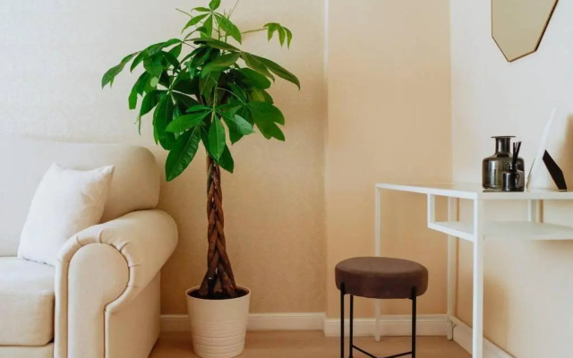 Elegant Vibes Apartment next to Obor market