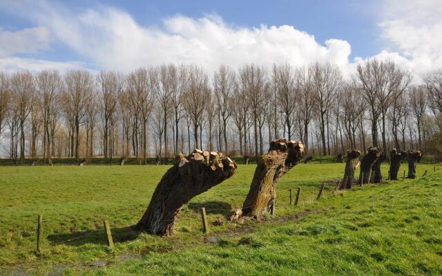 't Verloren Schaap