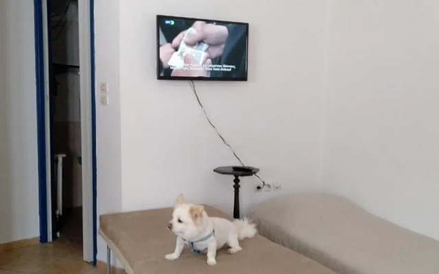 Akti Miaouli Holiday Home