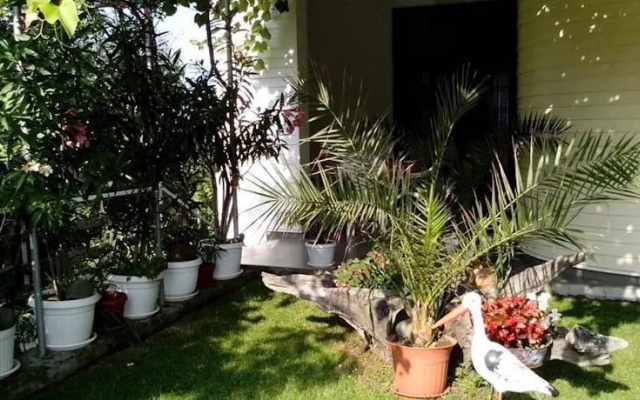 Valkanovy Guest House