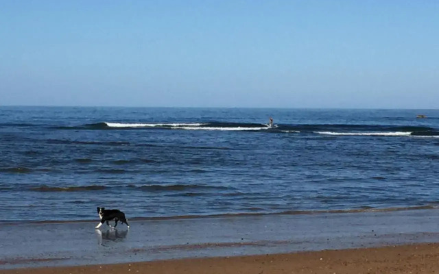 Penguin Seaside Homestay