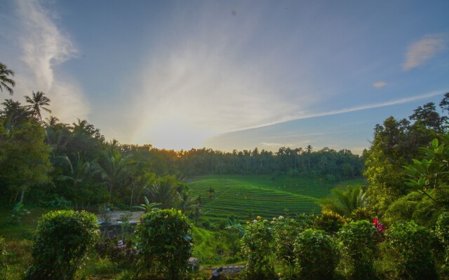 Bali Lush