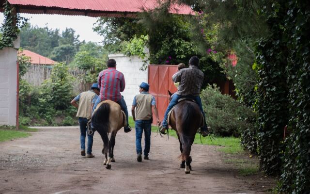 San Ricardo Farm and Lodge