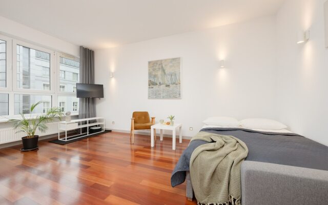 Spacious Studio & Parking by Renters