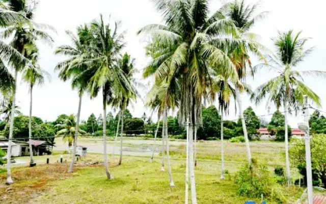 Haji Hassan Guest House