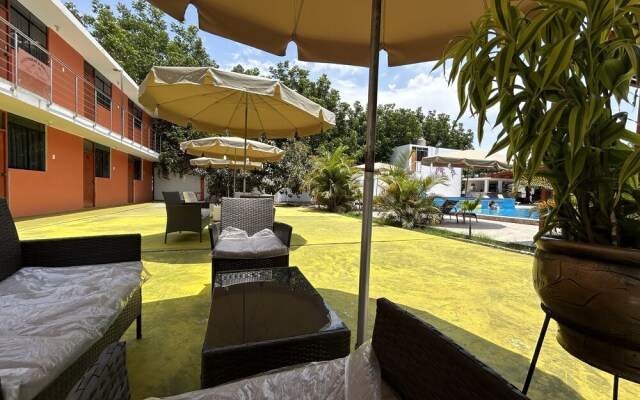 Ica adventures out of the woods