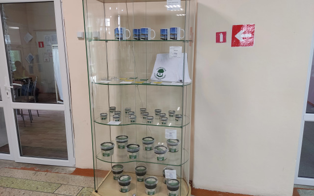 Sosnovaja Roscha (Kurgan)