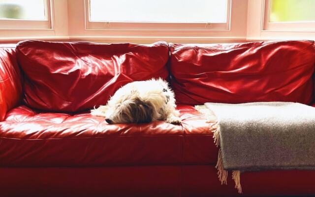 Lovely 3-bed Apartment & Garden & dog Friendly