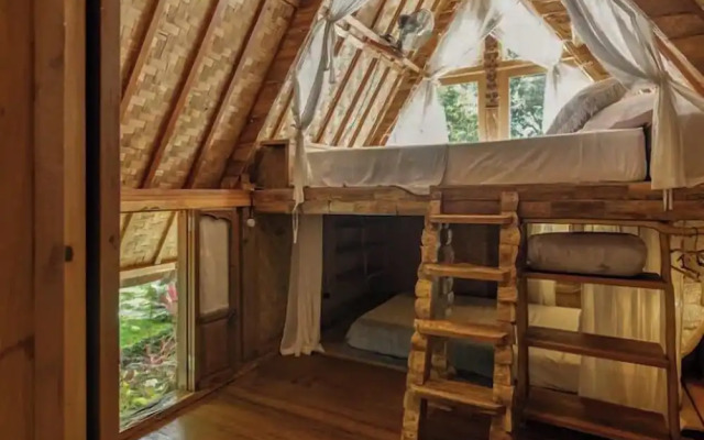 Roots Tree House