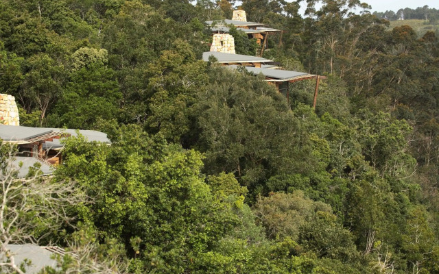 Tsala Treetop Lodge