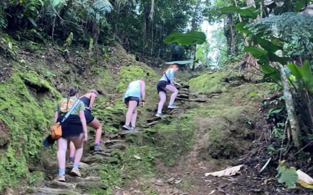 Tree of Life - Hostel