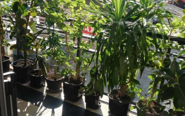 Rooms And Apartments S