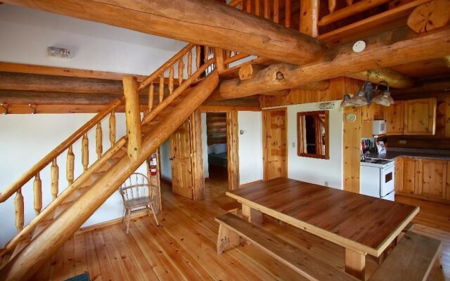 Wilderness Tours Rafting Resort