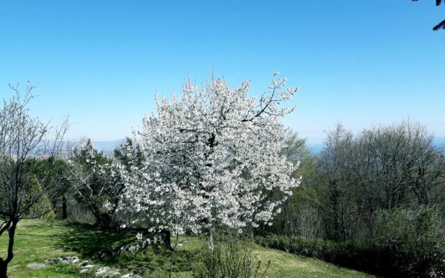Kuca Draga - Property Nono