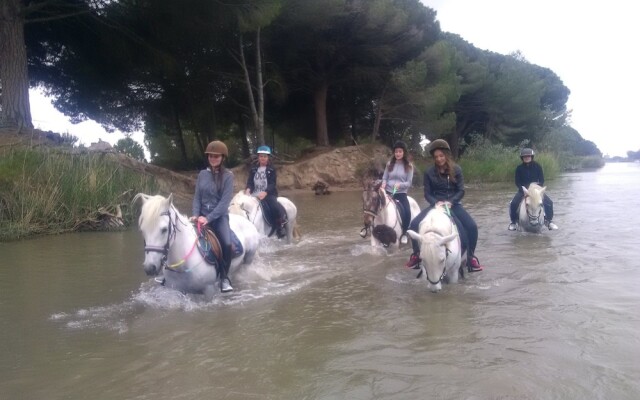 Suites d'hôtes Prestige Mas de l'étoile