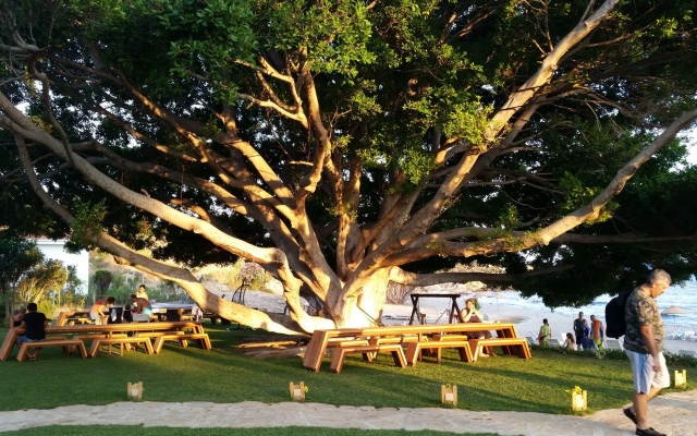 Marvel Tree Hotel