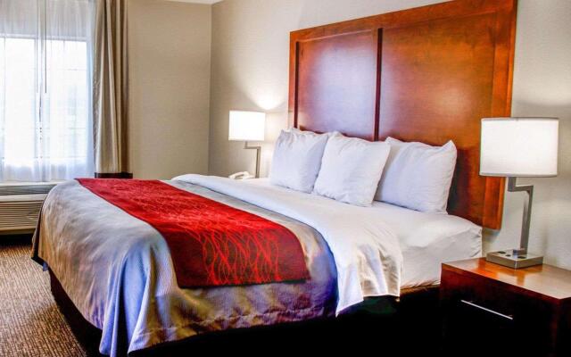 Comfort Inn Bessemer Birmingham South