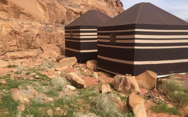 Bedouin Host Camp